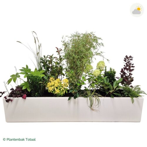 productfoto van plantenbak Polyester Carrez Langwerpig Set Bohemen