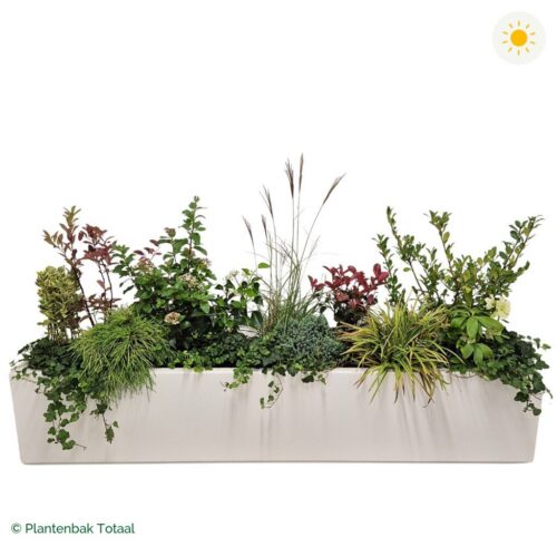productfoto van plantenbak Polyester Carrez Langwerpig Set Bretagne