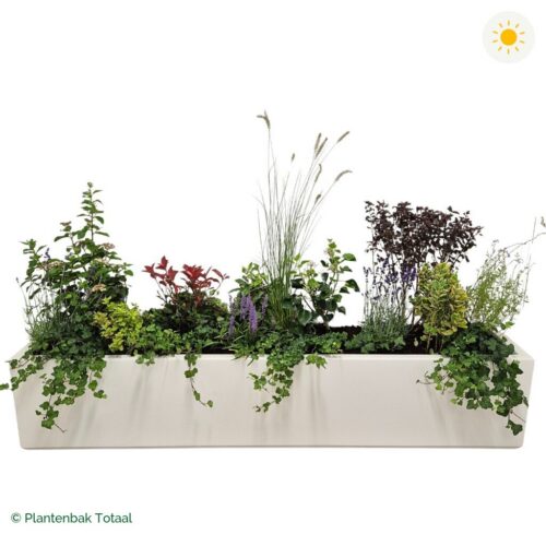 productfoto van plantenbak Polyester Carrez Langwerpig Set Provence
