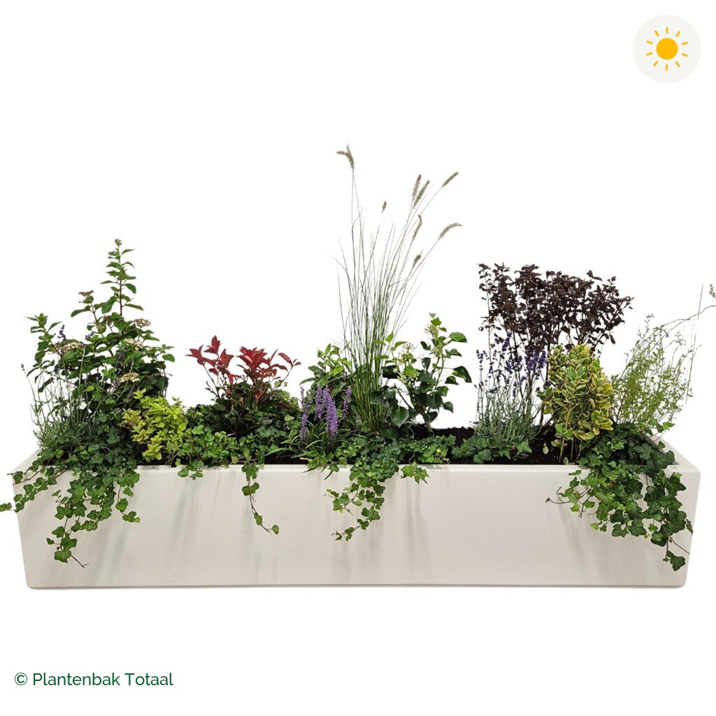 productfoto van plantenbak Polyester Carrez Langwerpig Set Provence