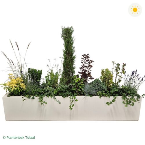 productfoto van plantenbak Polyester Carrez Langwerpig Set Toscane