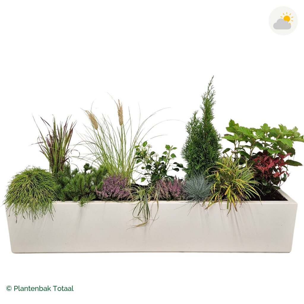productfoto van plantenbak Polyester Carrez Langwerpig Set Veluwe