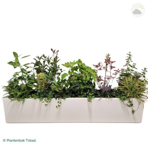 productfoto van plantenbak Polyester Carrez Langwerpig Set York