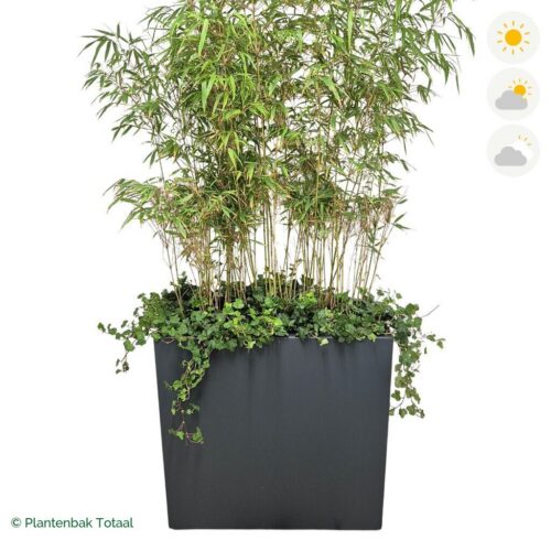 productfoto van plantenbak Polyester Carrez Rechthoek Bamboe Afscheiding