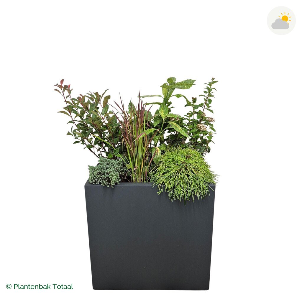 productfoto van plantenbak Polyester Carrez Rechthoek Set Eifel