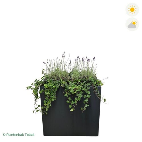 productfoto van plantenbak Polyester Carrez Rechthoek Lavendel Combinatie