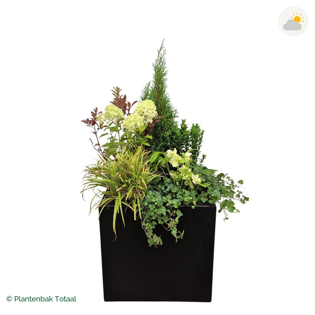 productfoto van plantenbak Polyester Carrez Vierkant Set Ardennen