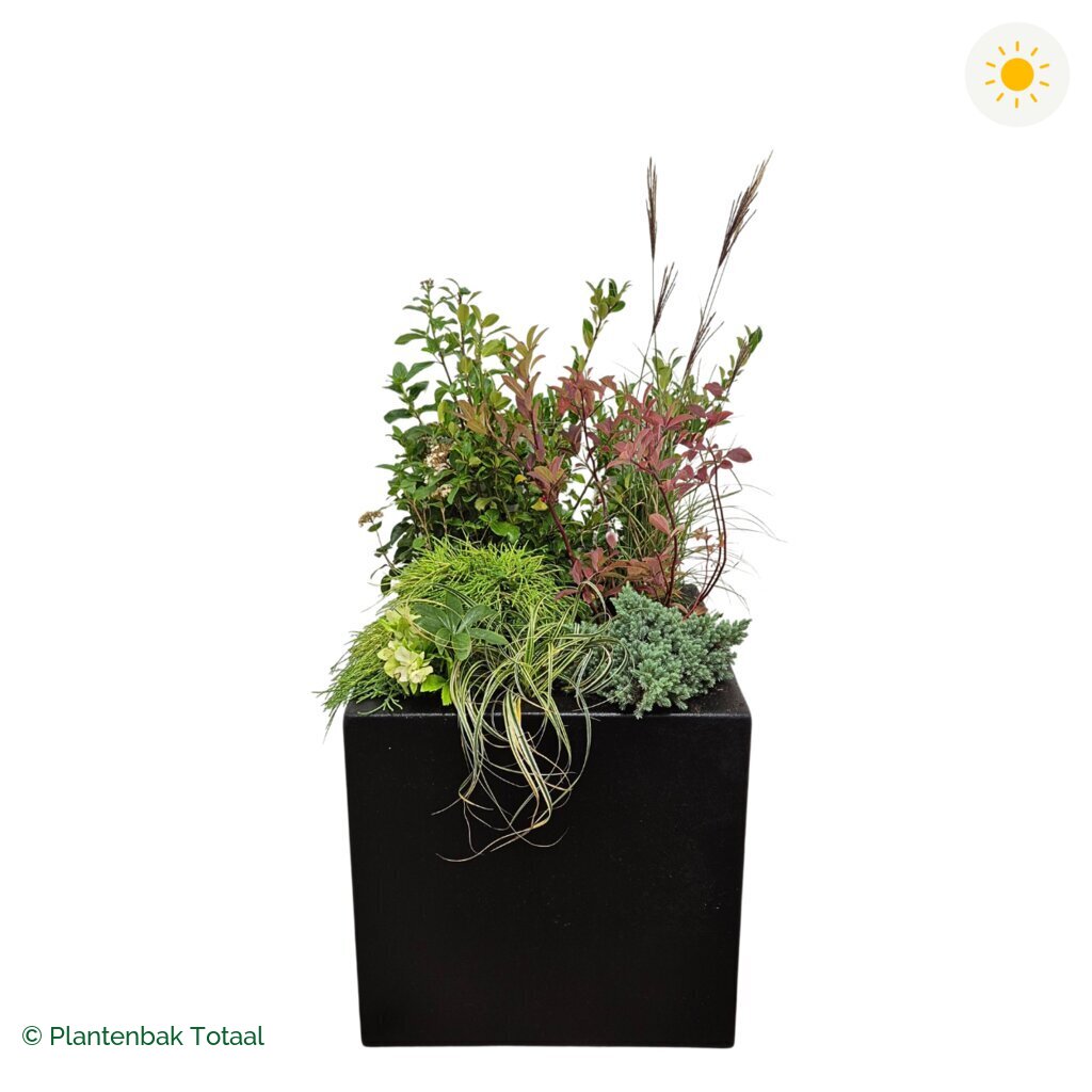 productfoto van plantenbak Polyester Carrez Vierkant Set Bretagne