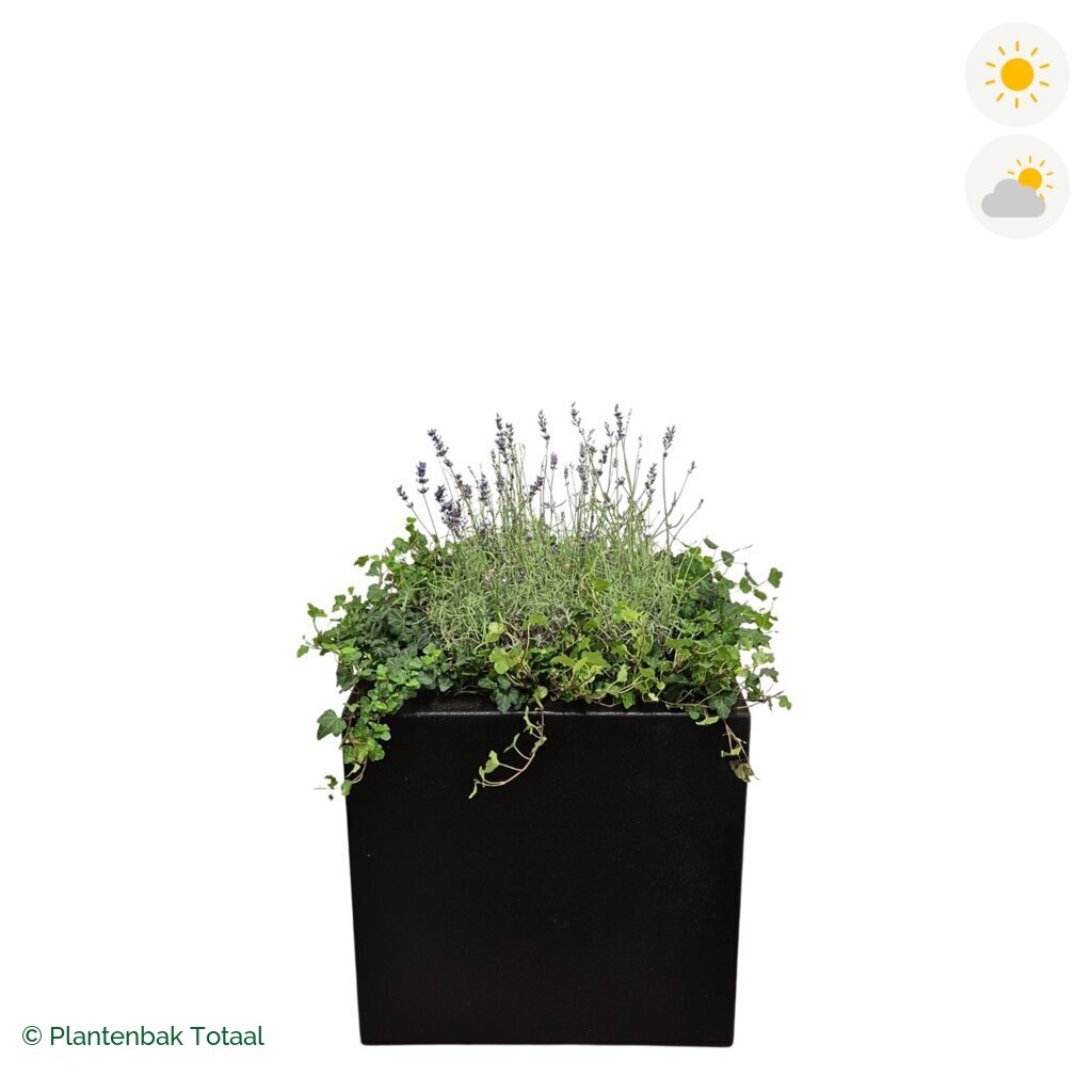 productfoto van plantenbak Polyester Carrez Vierkant Lavendel Combinatie