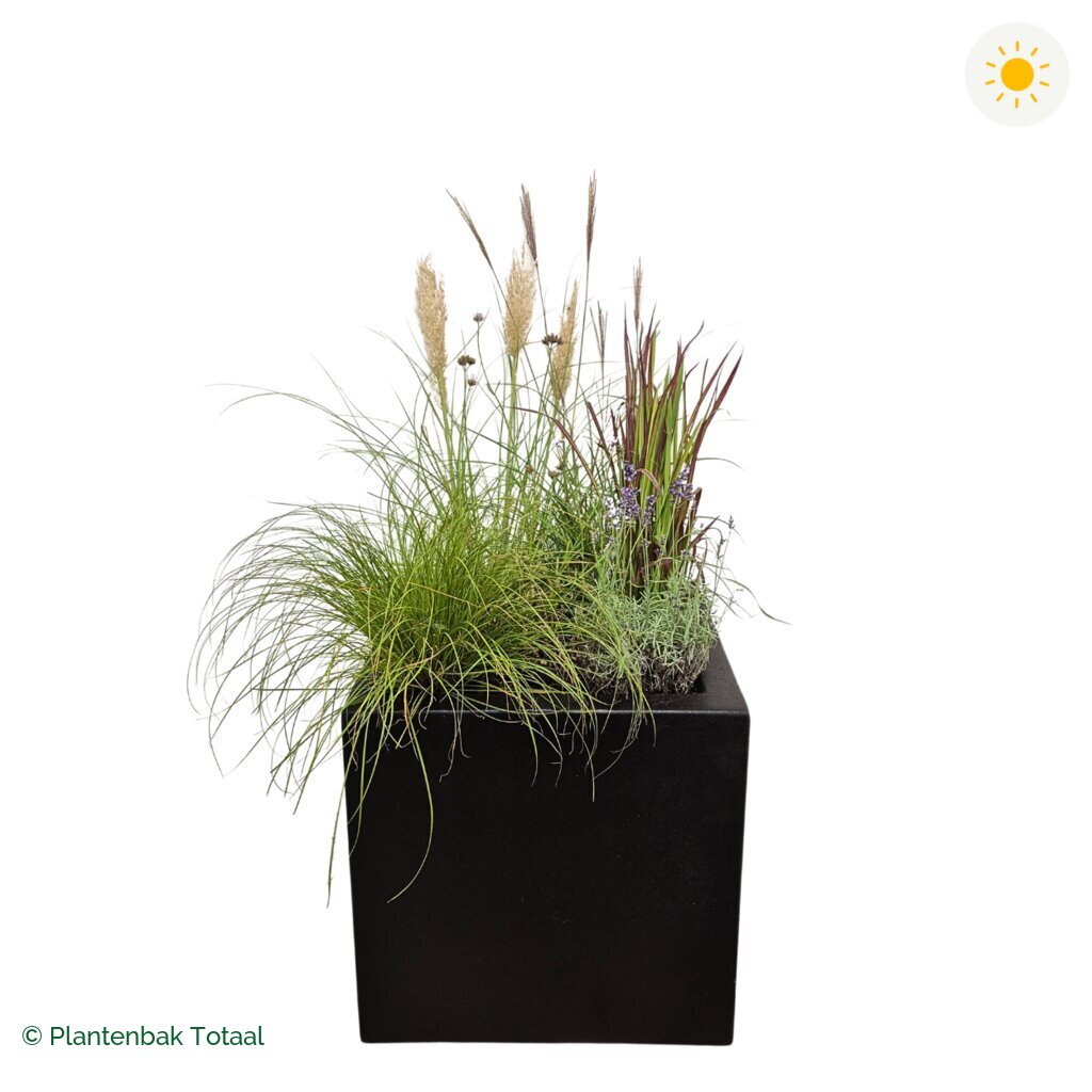productfoto van plantenbak Polyester Carrez Vierkant Set Savanne