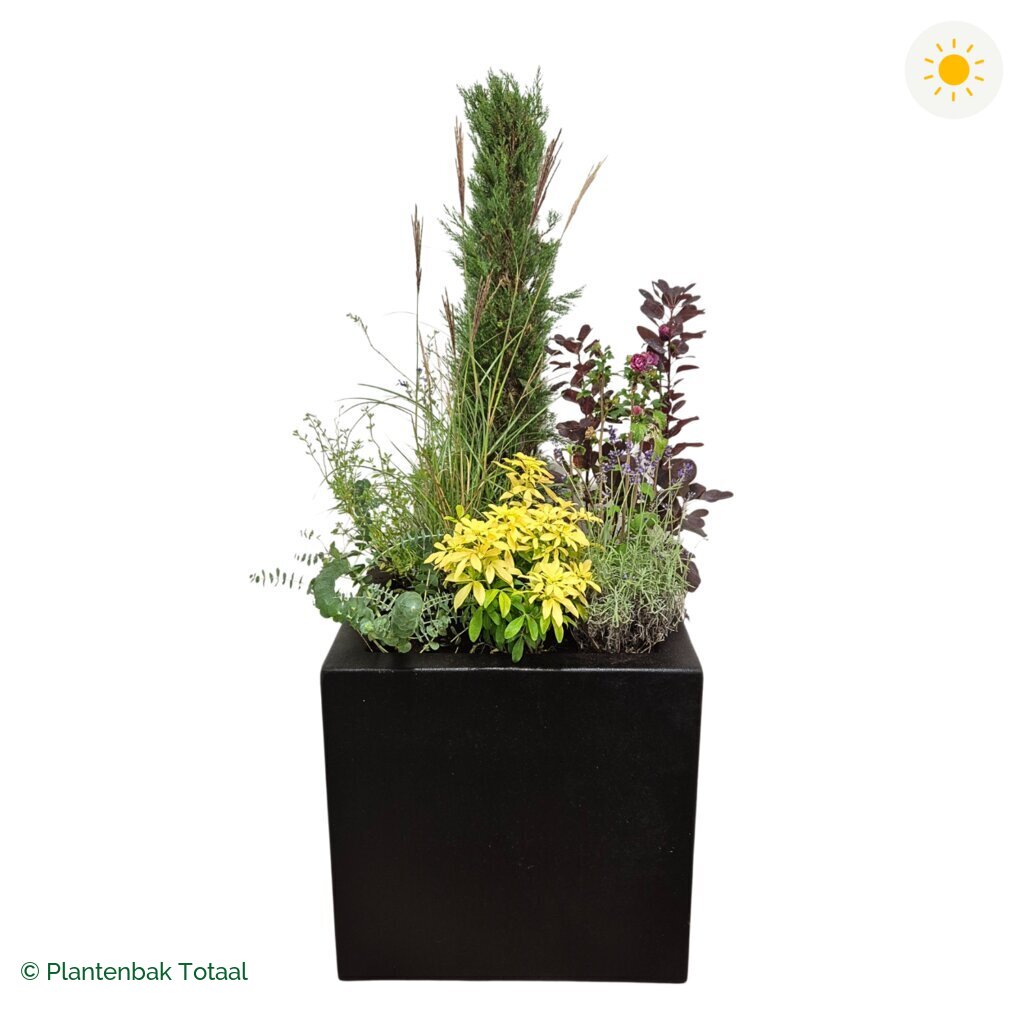 productfoto van plantenbak Polyester Carrez Vierkant Set Toscane