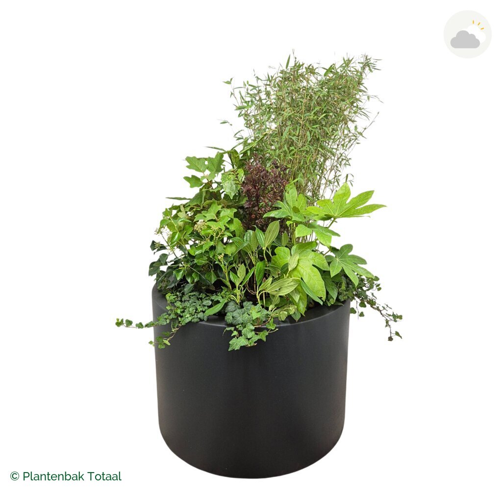 productfoto van plantenbak Polyester Circum Set Amazone