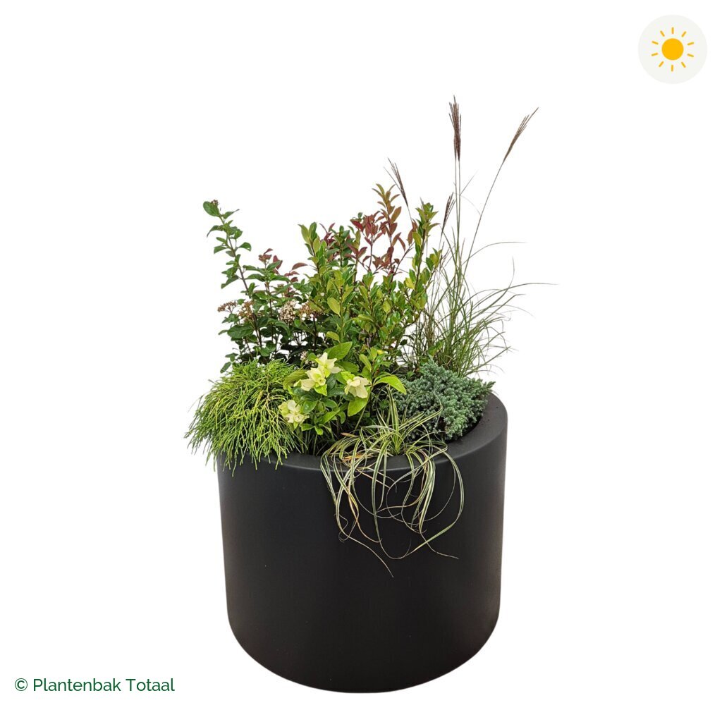 productfoto van plantenbak Polyester Circum Set Bretagne