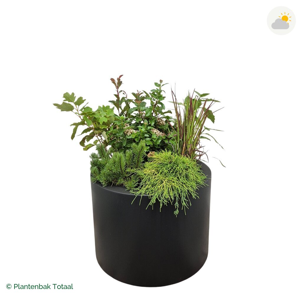 productfoto van plantenbak Polyester Circum Set Eifel