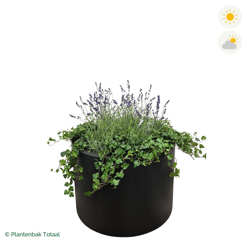 productfoto van plantenbak Polyester Circum Lavendel Combinatie