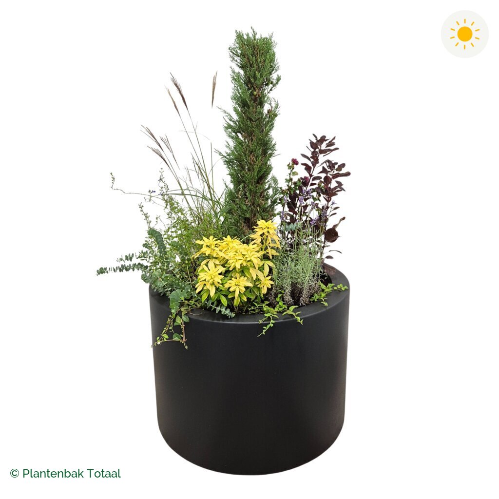 productfoto van plantenbak Polyester Circum Set Toscane