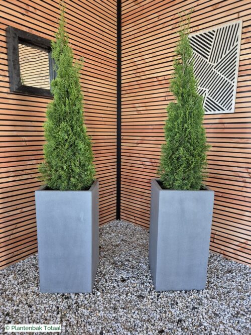 productfoto van plantenbak Fiberstone Bouvy L - Thuja Kegel Combideal