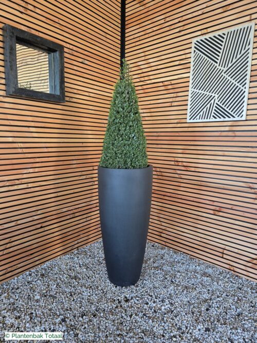 productfoto van plantenbak Fiberstone Dax XL - Ilex Kegel