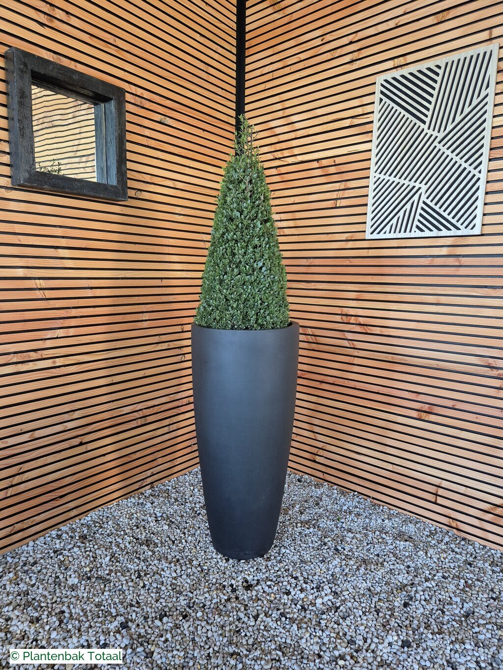 productfoto van plantenbak Fiberstone Dax XL - Ilex Kegel