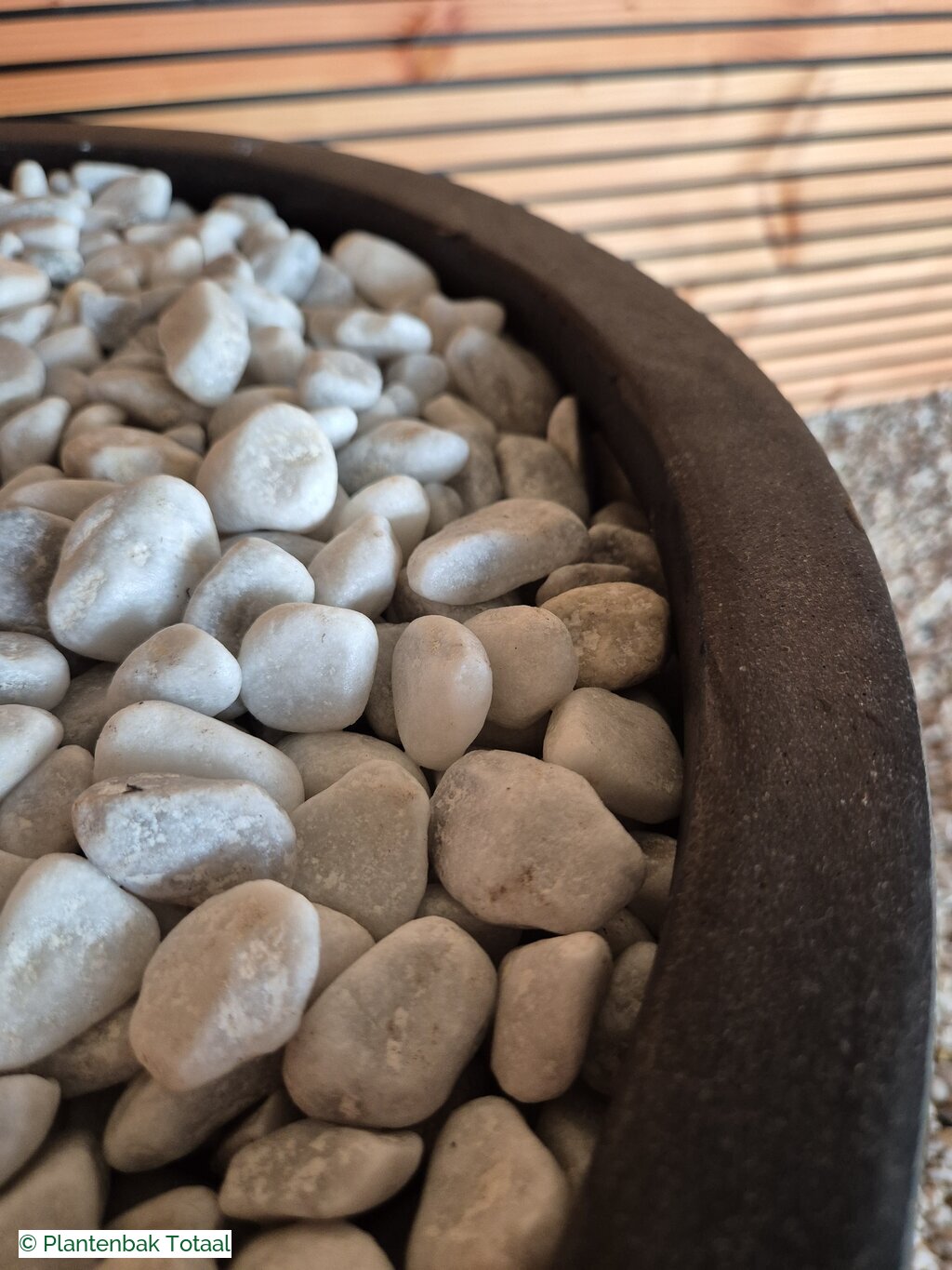productfoto van plantenbak Fiberstone Pax XL - Olijfboom
