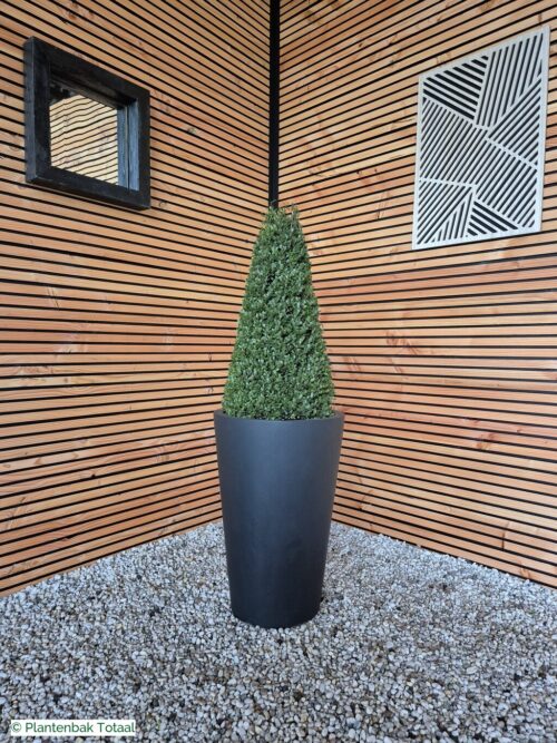 productfoto van plantenbak Fiberstone Belle M - Ilex Kegel