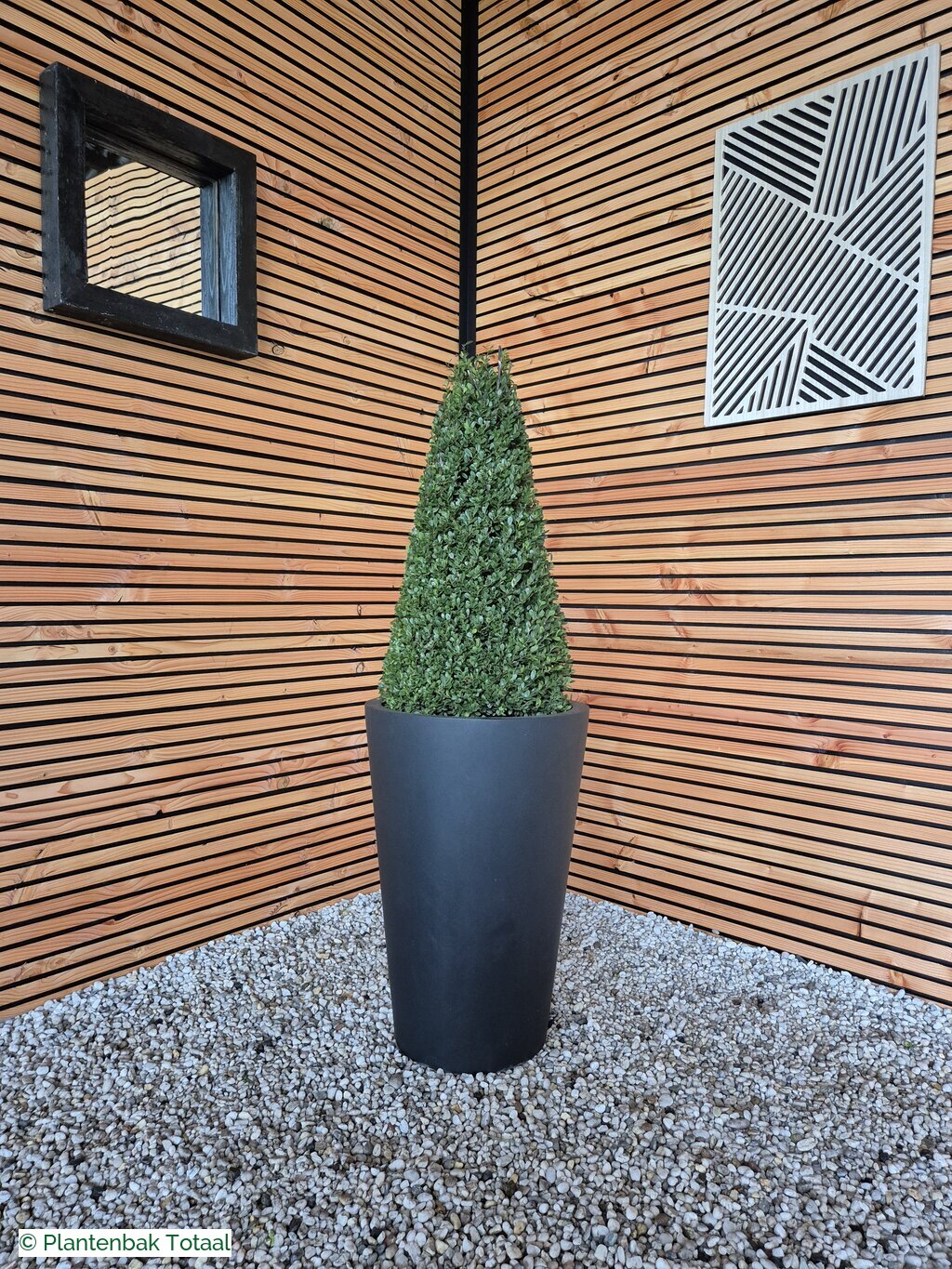 productfoto van plantenbak Fiberstone Belle M - Ilex Kegel