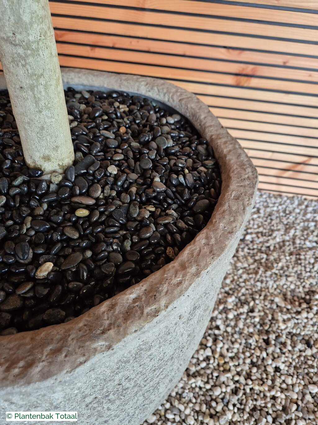 productfoto van plantenbak Fiberstone Mt. Hayes L - Vijgenboom