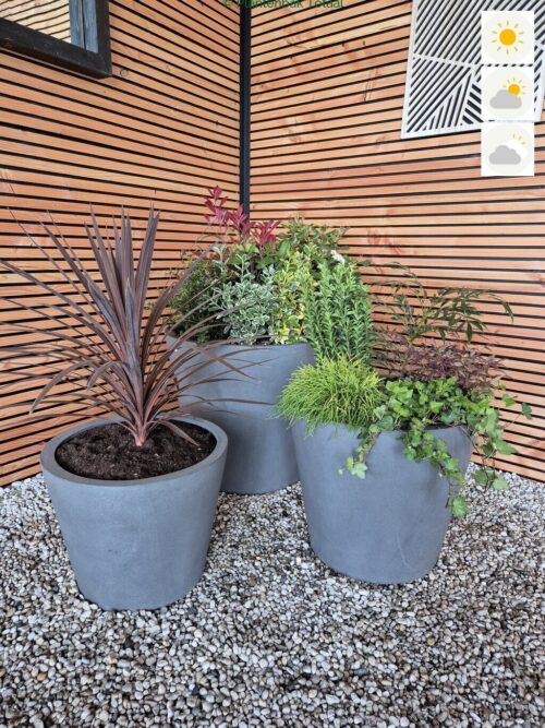 productfoto van plantenbak Fiberstone Bucket - Planten Set