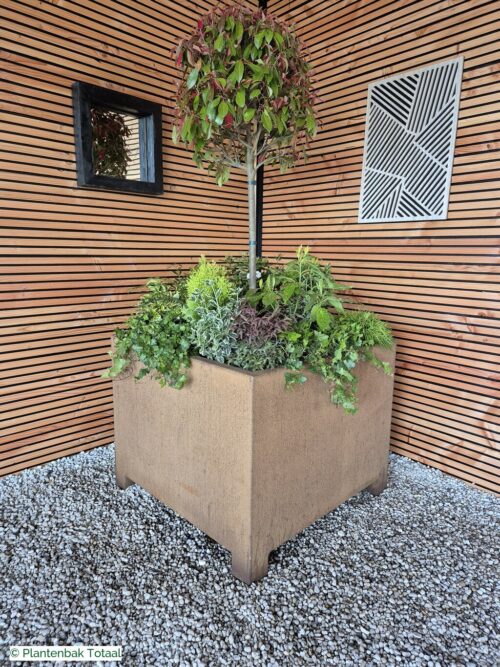 productfoto van plantenbak Cortenstaal Carrez - Planten Set