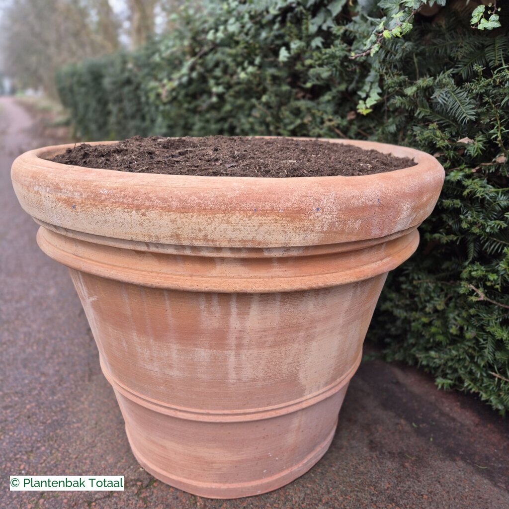 productlijn foto van plantenbak TC Pot rond