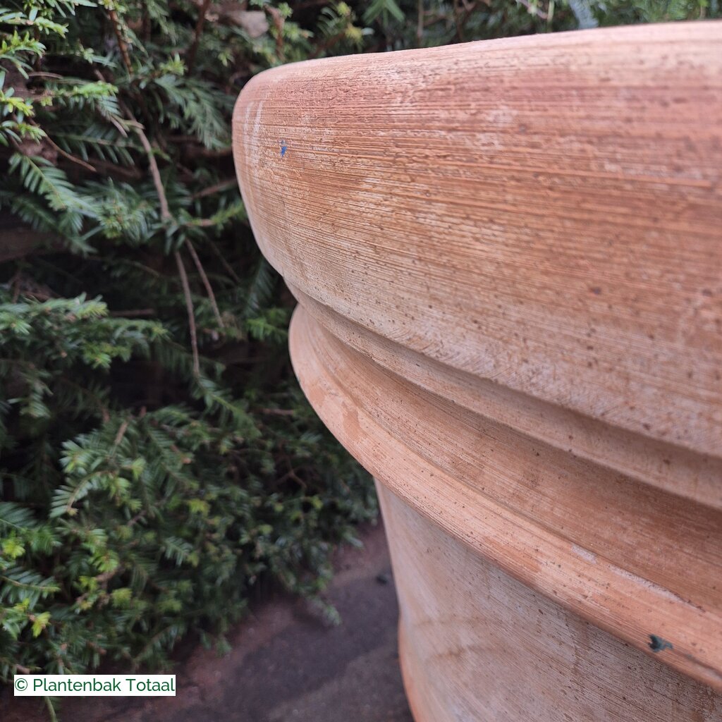 productlijn foto van plantenbak TC Pot rond