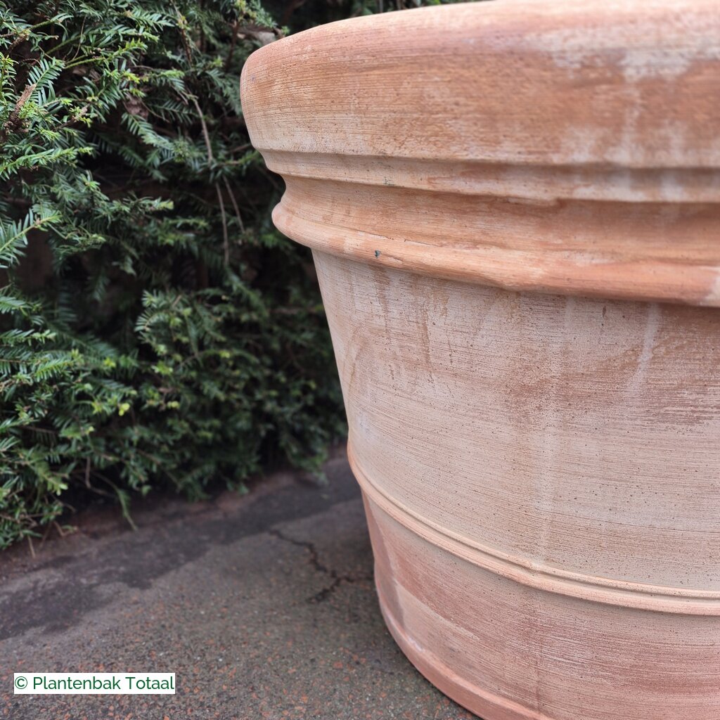 productlijn foto van plantenbak TC Pot rond