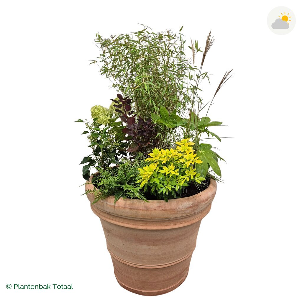 productfoto van plantenbak Terracotta Pot Set Bohemen