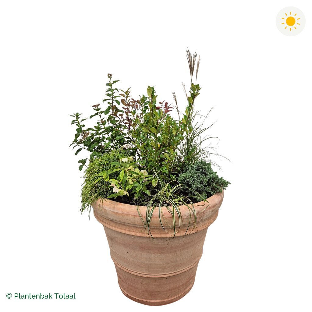 productfoto van plantenbak Terracotta Pot Set Bretagne