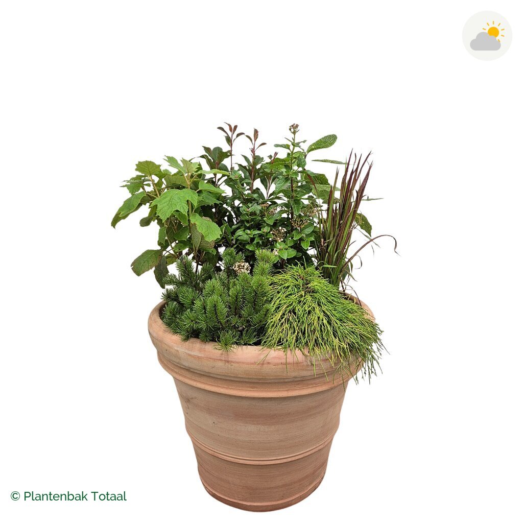 productfoto van plantenbak Terracotta Pot Set Eifel