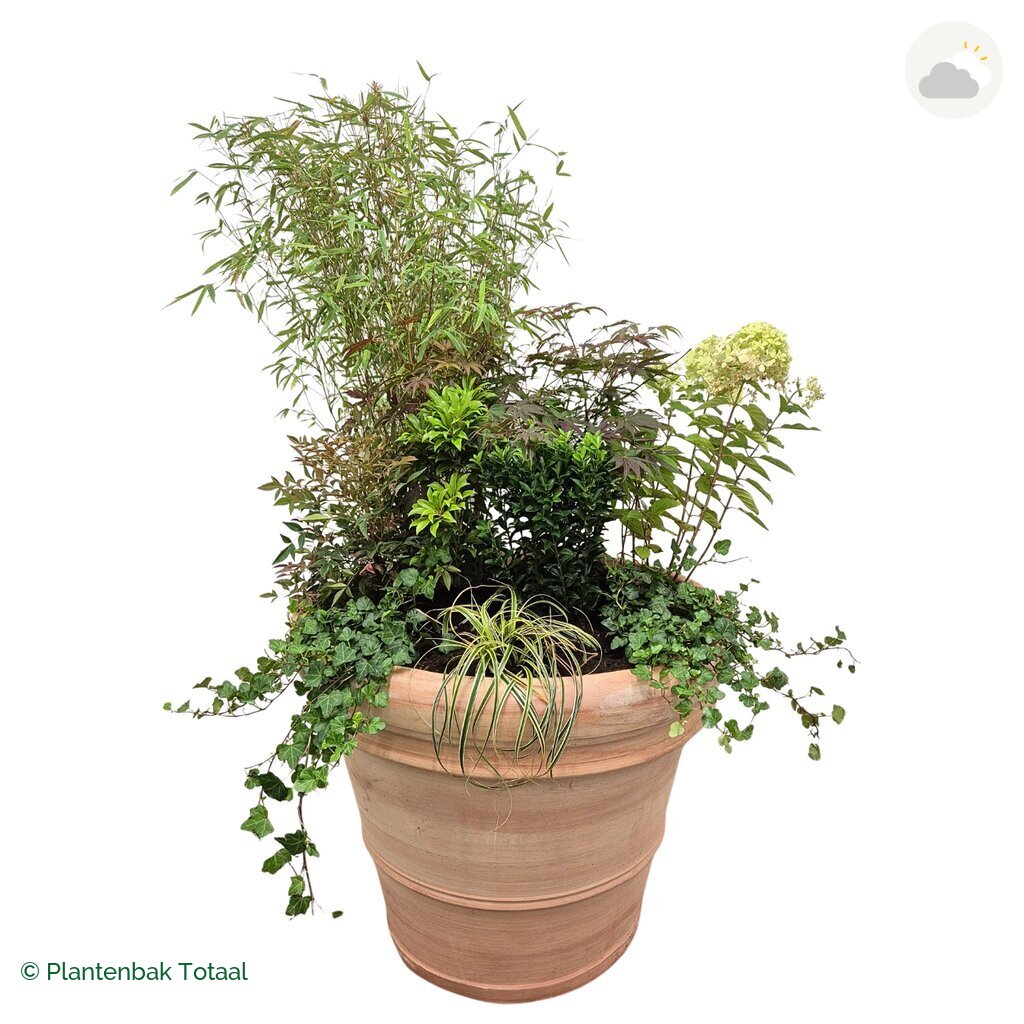 productfoto van plantenbak Terracotta Pot Set Himalaya