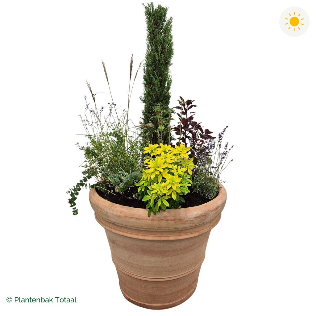 productfoto van plantenbak Terracotta Pot Set Toscane