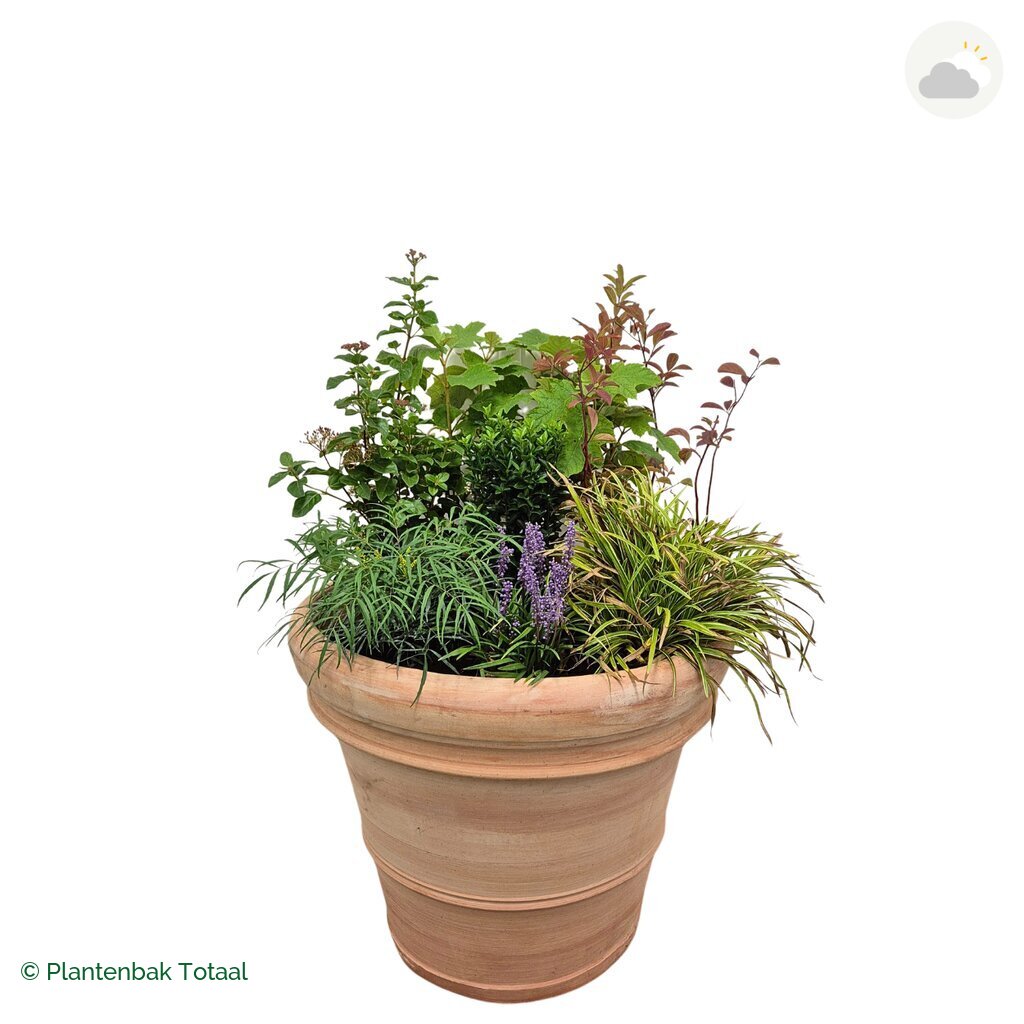 productfoto van plantenbak Terracotta Pot Set York