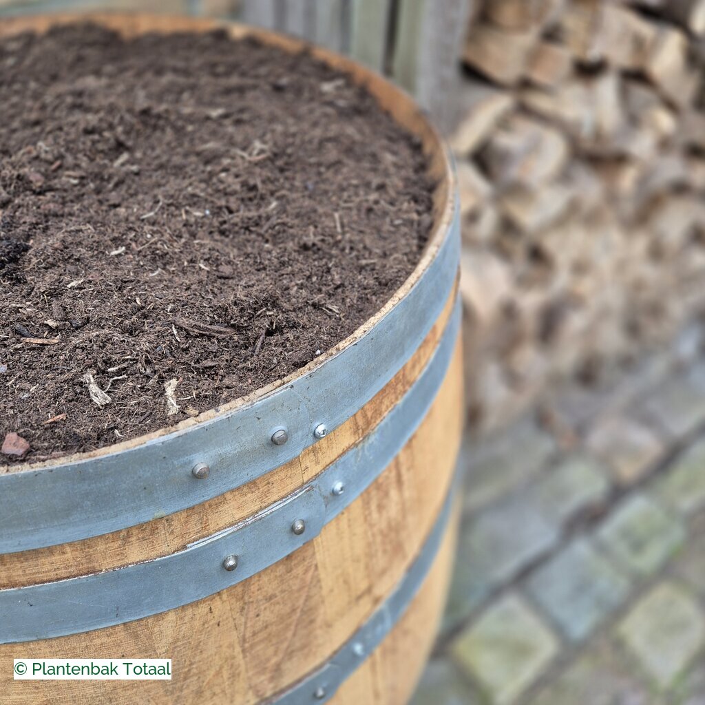 productlijn foto van plantenbak EH Wijnvat rond