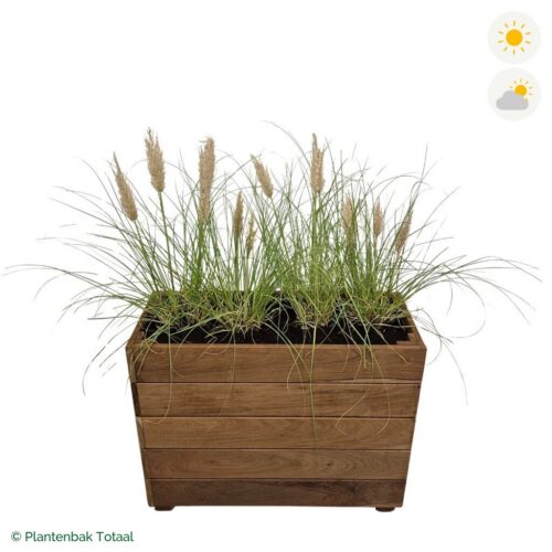 productfoto van plantenbak Hardhout Granada Rechthoek Pampasgras