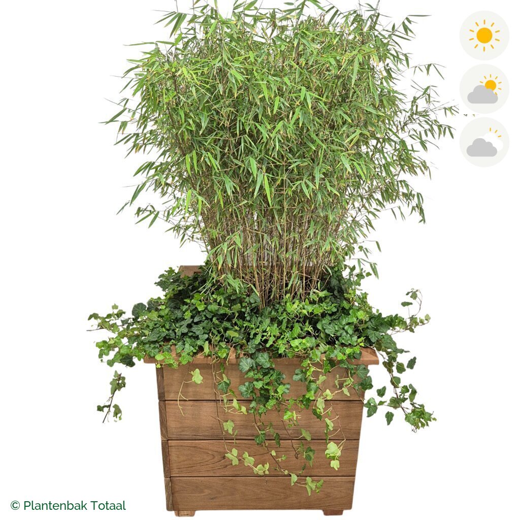 productfoto van plantenbak Hardhout Granada Vierkant Bamboe Combinatie