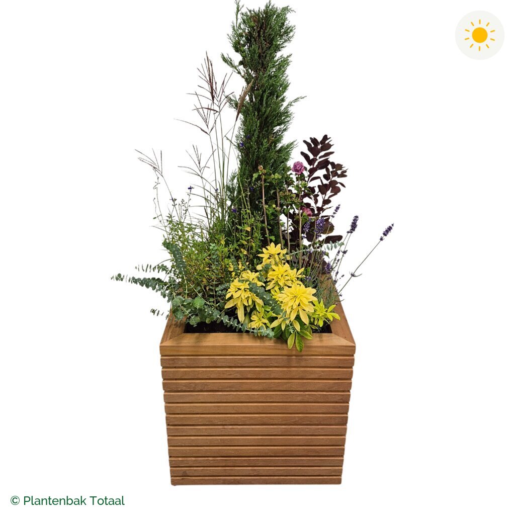 productfoto van plantenbak Hardhout Malaga Set Toscane