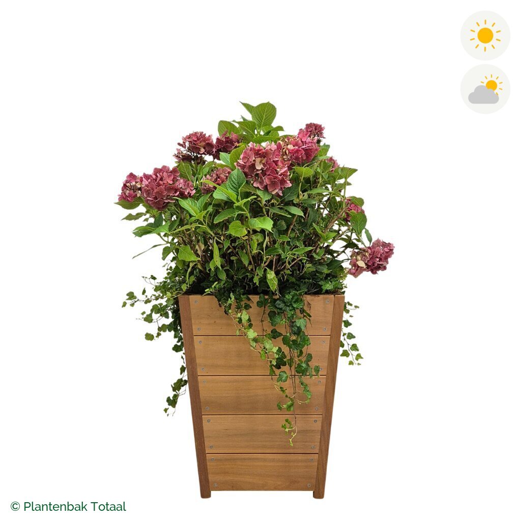 productfoto van plantenbak Hardhout Tap Boerenhortensia Combinatie