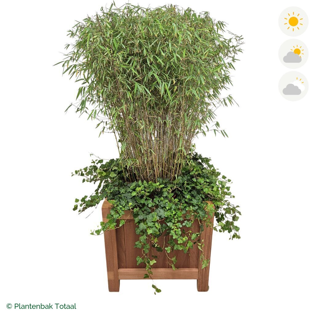 productfoto van plantenbak Hardhout Valencia Bamboe Combinatie