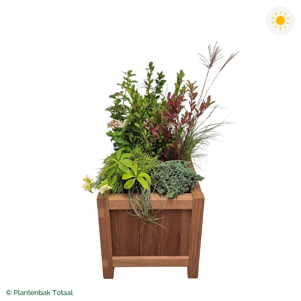 productfoto van plantenbak Hardhout Valencia Set Bretagne
