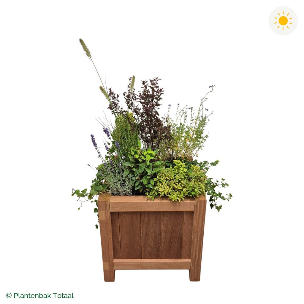 productfoto van plantenbak Hardhout Valencia Set Provence