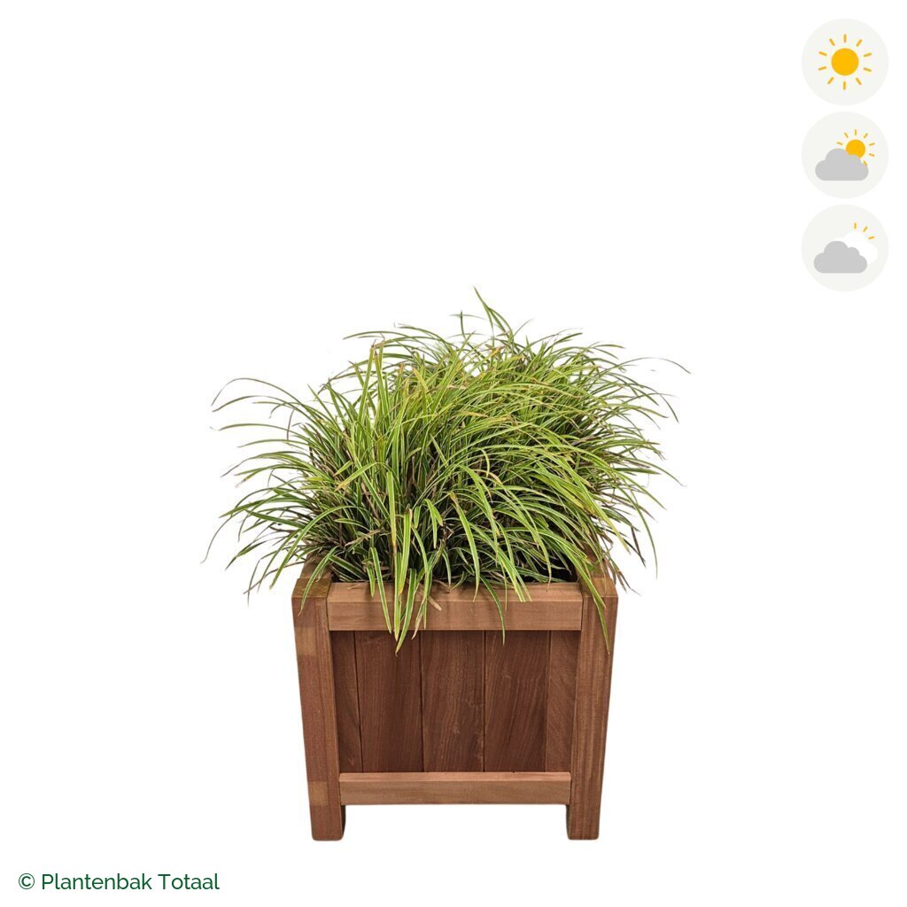 productfoto van plantenbak Hardhout Valencia Zegge