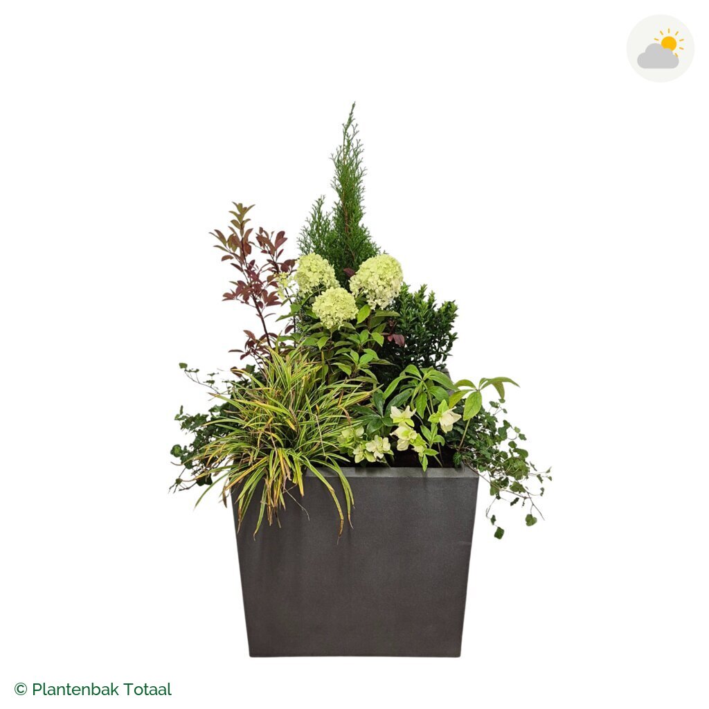 productfoto van plantenbak Fiberstone Block Vierkant Set Ardennen