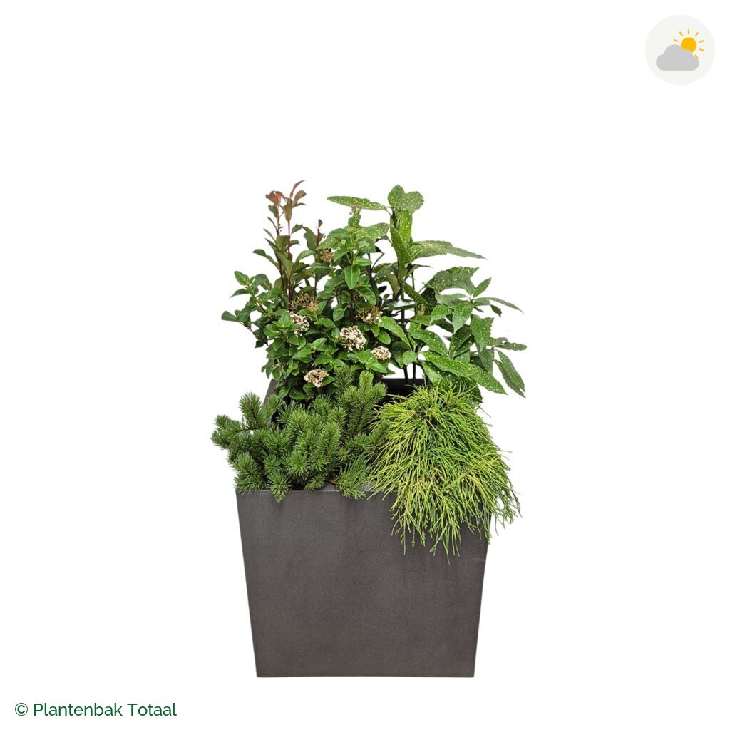 productfoto van plantenbak Fiberstone Block Vierkant Set Eifel