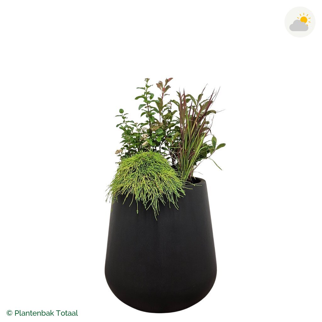 productfoto van plantenbak Fiberstone Pax Set Eifel